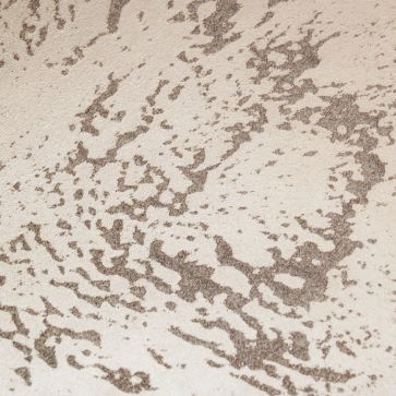 Sahara 