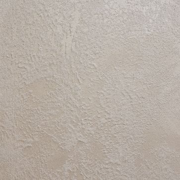 Sahara 